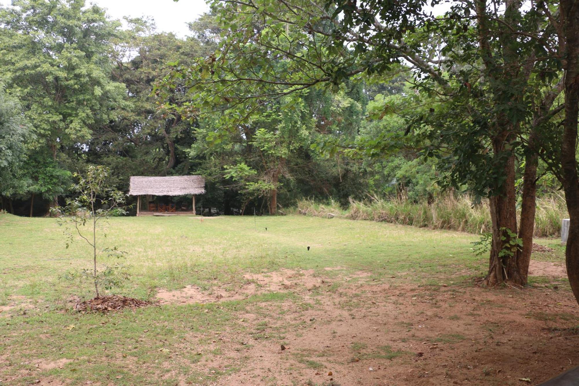 Wildescape, Yala Blocks 3 & 5 Villa Buttala Exteriör bild